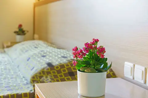Alianthos Beach in Alianthos Beach Hotel, foto 13