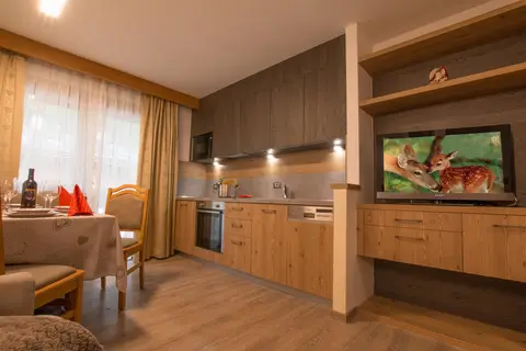 Residence Villa Artic in Campitello di Fassa, foto 7