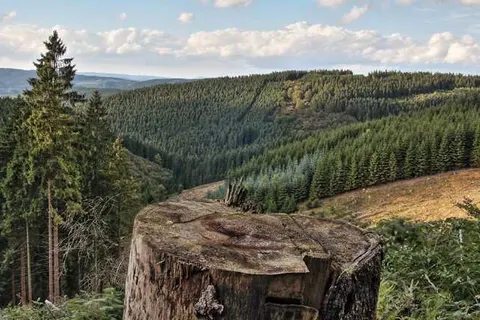 Troll&ampapos;s Brauhaus Hotel foto 17