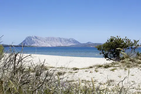 Club Hotel Li Suari in San Teodoro — foto 27