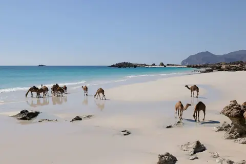 Alila Hinu Bay in Mirbat — foto 24