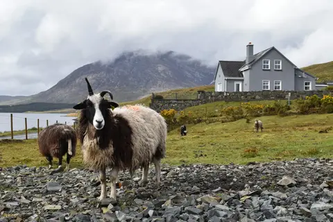 Ontdek Ierland in 8 dagen in Ierland