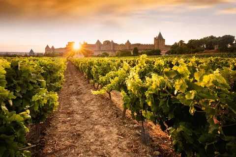 Van Frans Baskenland naar de Middellandse Zee foto 13