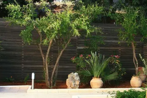 Katrin Suites in Malia Municipal Unit, foto 15