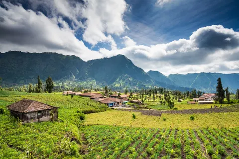 Rondreis Veelzijdig Java & Bali foto 7