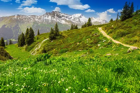 Ontdek de Zwitserse Alpen en Bernina Express vanuit Davos in Davos — foto 3