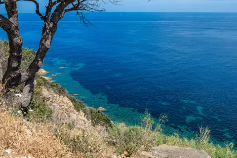 Rosselba Le Palme in Portoferraio — foto 26