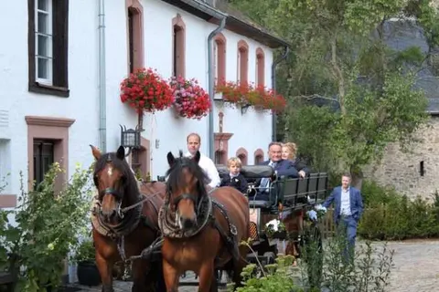 Burghaus en Villa Kronenburg foto 27