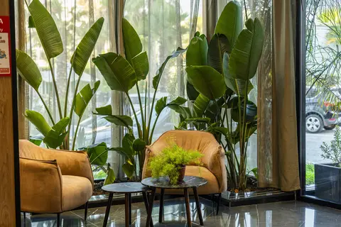 Henry Resort & Spa in Golem — foto 13