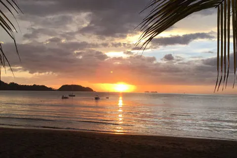 Discover Unique Costa Rica foto 3