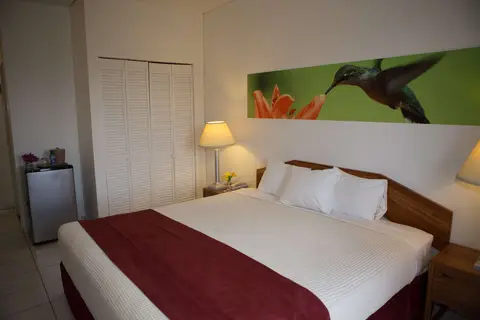 Eco Torarica in Parimaribo — foto 5
