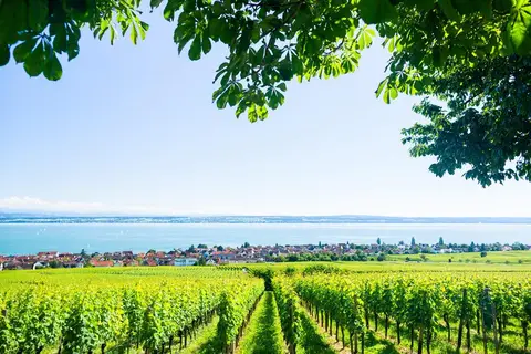 9 10 daagse fietsreis Genieten aan de Bodensee in Hornberg — foto 3