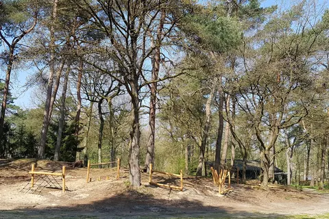 Camping Horstmannsbos foto 19