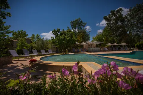 Petrino Eco-Village in Δημοτική Ενότητα Κασσάνδρας — foto 28