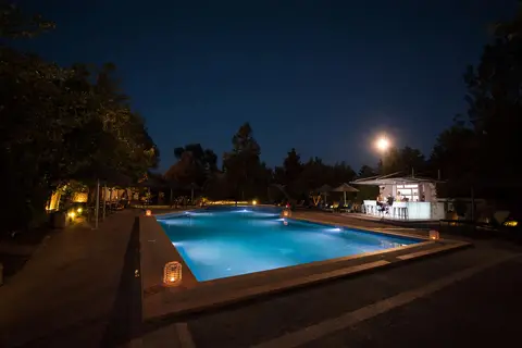 Petrino Eco Village in Δημοτική Ενότητα Κασσάνδρας — foto 21