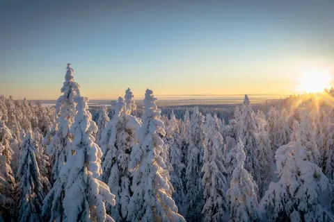 8 daagse excursiereis Winter Week Vuokatti foto 2