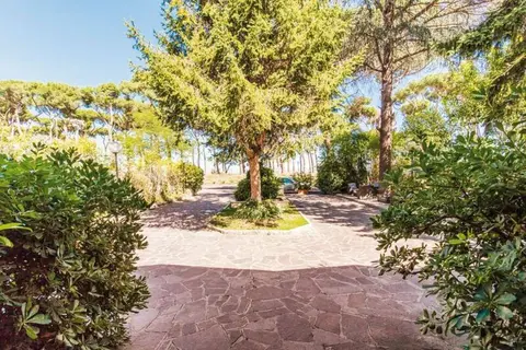 Pinewood in Rome, foto 14