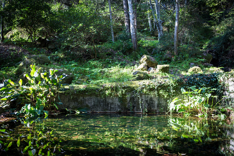 Monchique Resort & Spa - inclusief huurauto foto 57