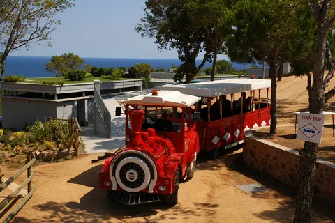 Camping Cala Gogo Internacional foto 4