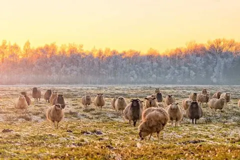 Dormio Waterpark Langelille foto 8