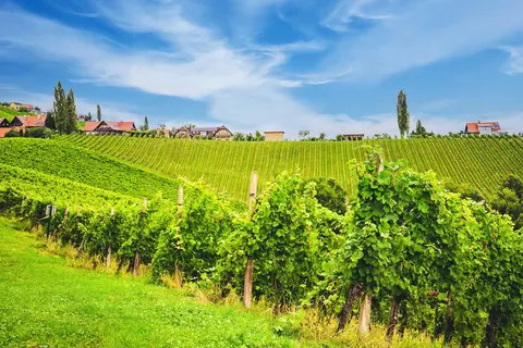 Slovenië compleet foto 5