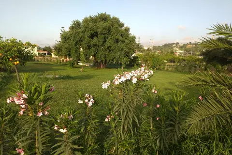 Villa Teti in Campo Felice Di Roccella, foto 28