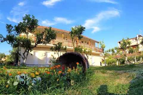 Ever Green in Δημοτική Ενότητα Λευκιμμαίων — foto 5
