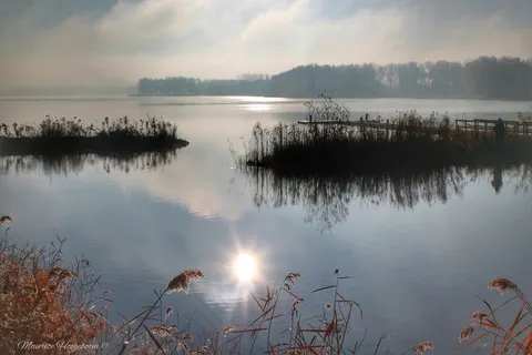 Vakantiepark Molengroet foto 18