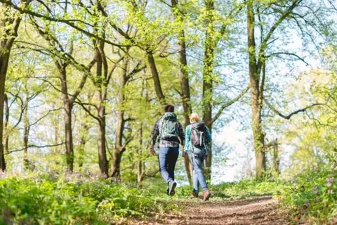Hotel Botanique foto 9