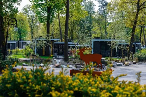 Vakantiepark De Rimboe en De Woeste Hoogte foto 12