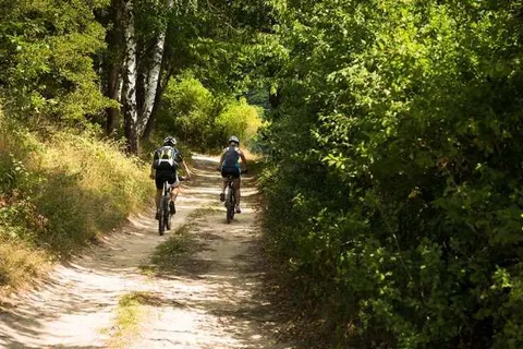 Hotel De Bilderberg foto 23