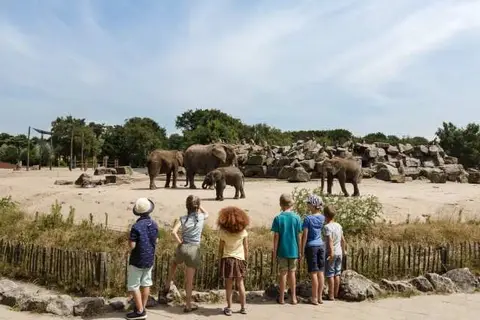 Vakantiepark Dierenbos in Vinkel — foto 25