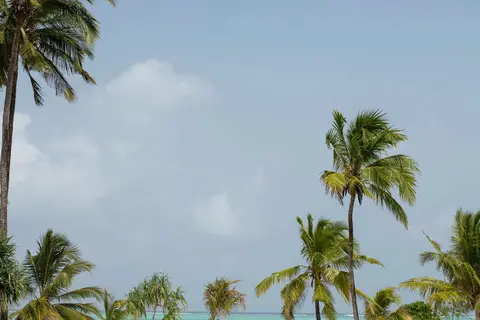Marijani beach Resort in Kiwengwa — foto 16