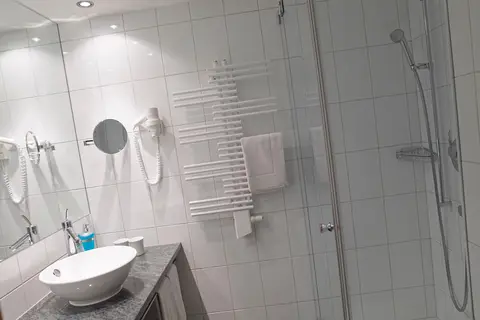 Hotel Alpina Parpan in Parpan — foto 16