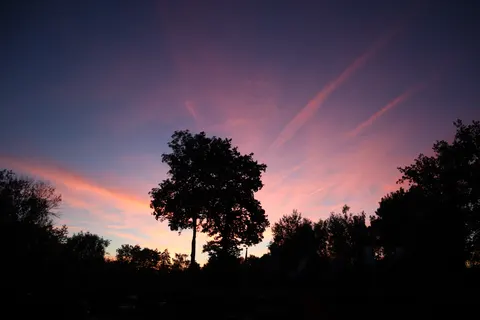 Camping De Chênefleur foto 11