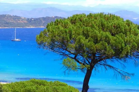 Camping La Foux foto 20