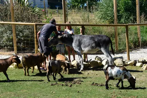 Le Camp De Florence in La Romieu — foto 11