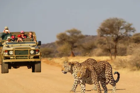 Explore Impressive Namibia foto 5