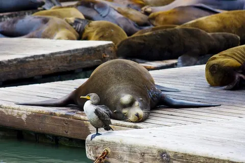 16-daagse rondreis Western Discovery foto 2