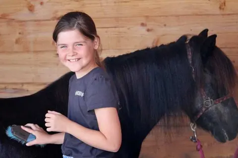 Horsetellerie Rheezerveen foto 12