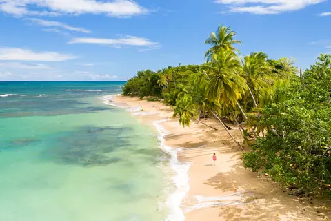 Ontdekking van het Panamakanaal, Costa Rica & de Grote Antillen in cruisereizen, foto 19