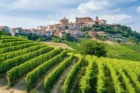 Cultuur en wijn in Piemonte, Mondovì in Mondovì