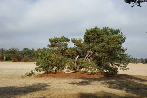 Hotel Kontakt der Kontinenten foto 35