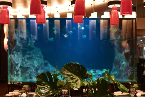Grand Resort Lagonissi in Athene — foto 24