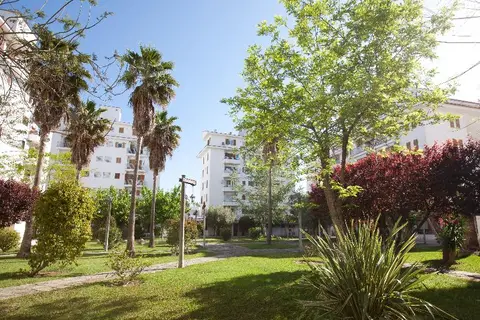 Ferrer Lime Tamarindos in Alcúdia — foto 27