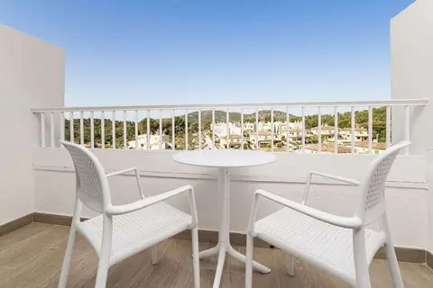Globales Mimosa in Calvià — foto 27