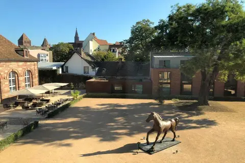 Hôtel Les Haras in Straatsburg — foto 14
