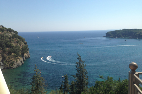 Hotel Palatino foto 12