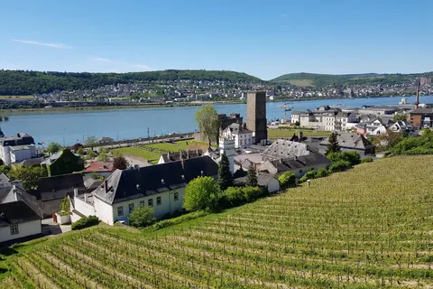 Hotel Felsenkeller in Rüdesheim am Rhein — foto 31