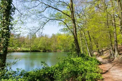 B&B Bovenweg Rhenen foto 21